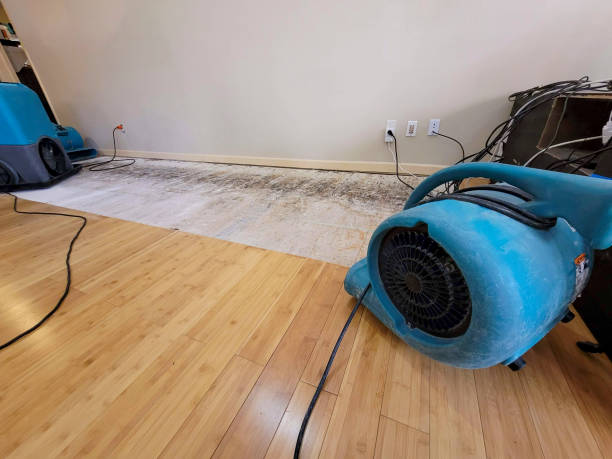 Professional Basement Flood Cleanup technician working in Kingsley, MI